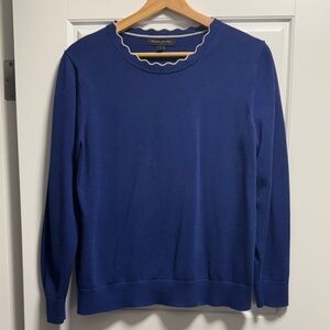 Banana Republic Blue Sweater